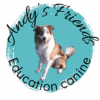 Andy's Friends Education Canine